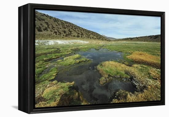 Parque Nacional de Sajama, Bolivia.-Anthony Asael-Framed Premier Image Canvas