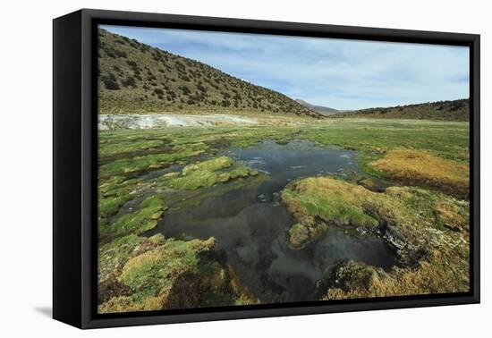 Parque Nacional de Sajama, Bolivia.-Anthony Asael-Framed Premier Image Canvas