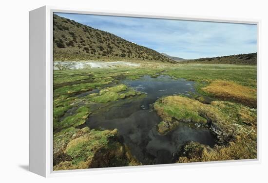 Parque Nacional de Sajama, Bolivia.-Anthony Asael-Framed Premier Image Canvas