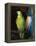 Parrot, 1915-George Wesley Bellows-Framed Premier Image Canvas