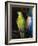 Parrot, 1915-George Wesley Bellows-Framed Giclee Print