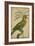 Parrot and Palm II-Vision Studio-Framed Art Print