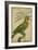 Parrot and Palm II-Vision Studio-Framed Art Print