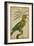 Parrot and Palm II-Vision Studio-Framed Art Print