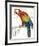 Parrot Botanique II-null-Framed Art Print
