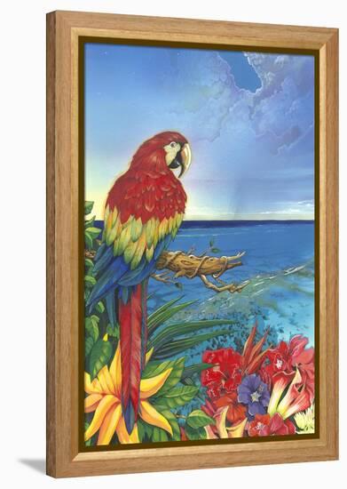 Parrot Dice-Scott Westmoreland-Framed Stretched Canvas