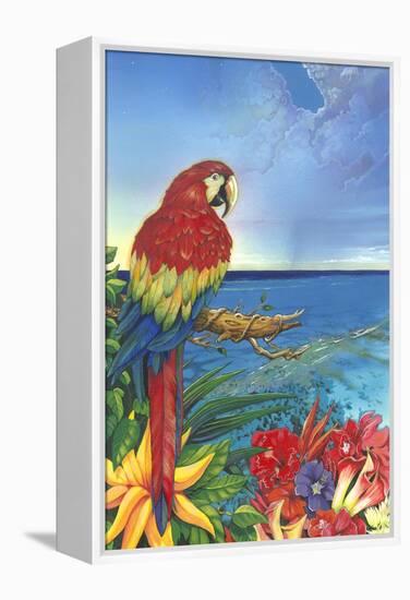 Parrot Dice-Scott Westmoreland-Framed Stretched Canvas