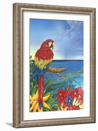 Parrot Dice-Scott Westmoreland-Framed Art Print