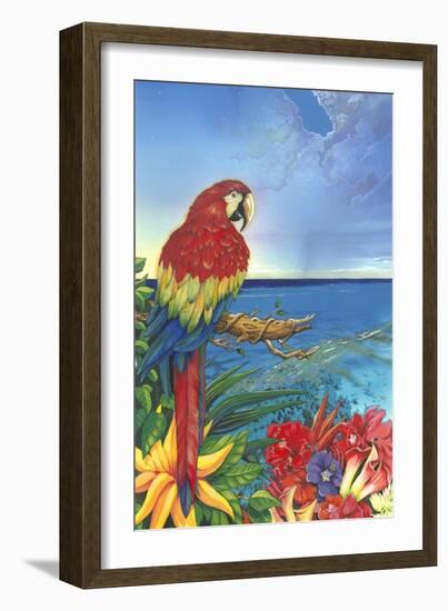 Parrot Dice-Scott Westmoreland-Framed Art Print