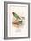 Parrot Finch-F.w. Frohawk-Framed Art Print