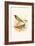 Parrot Finch-F.w. Frohawk-Framed Art Print