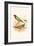 Parrot Finch-F.w. Frohawk-Framed Art Print