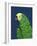 Parrot Head Navy-Pamela Munger-Framed Art Print