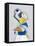 Parrot I-Hasse Jacobsen-Framed Stretched Canvas