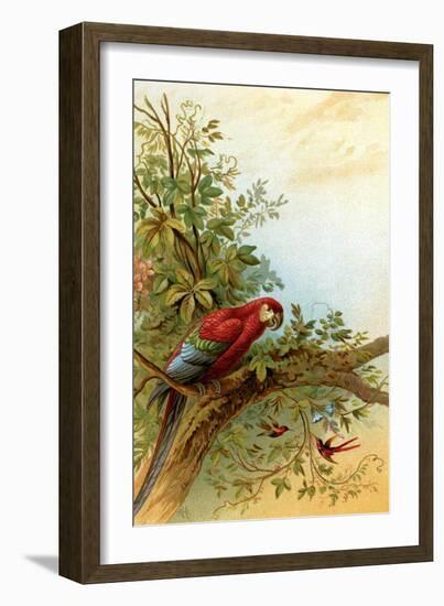 Parrot in a Tree Above Hummingbrds-A. Hochstein-Framed Art Print