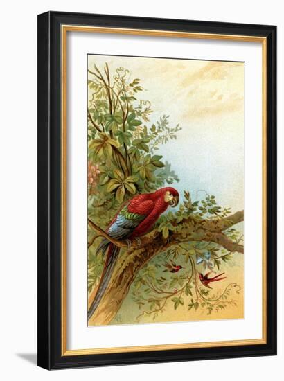 Parrot in a Tree Above Hummingbrds-A. Hochstein-Framed Art Print