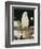 Parrot in Cafe, Duval Street, Key West, Florida, USA-R H Productions-Framed Photographic Print