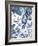 Parrot Jungle-Sandra Jacobs-Framed Giclee Print