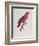 Parrot: Lory or Collared-Jacques Barraband-Framed Giclee Print