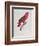 Parrot: Lory or Collared-Jacques Barraband-Framed Giclee Print