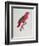 Parrot: Lory or Collared-Jacques Barraband-Framed Giclee Print