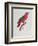 Parrot: Lory or Collared-Jacques Barraband-Framed Giclee Print