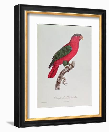 Parrot: Lory or Collared-Jacques Barraband-Framed Giclee Print