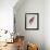 Parrot: Lory or Collared-Jacques Barraband-Framed Giclee Print displayed on a wall
