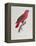 Parrot: Lory or Collared-Jacques Barraband-Framed Premier Image Canvas