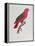 Parrot: Lory or Collared-Jacques Barraband-Framed Premier Image Canvas