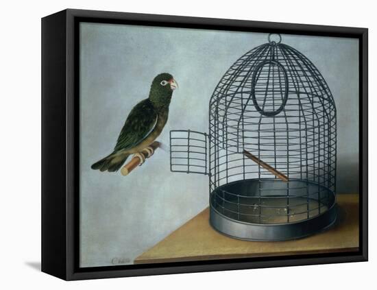 Parrot Outside His Cage-Cornelis Biltius-Framed Premier Image Canvas