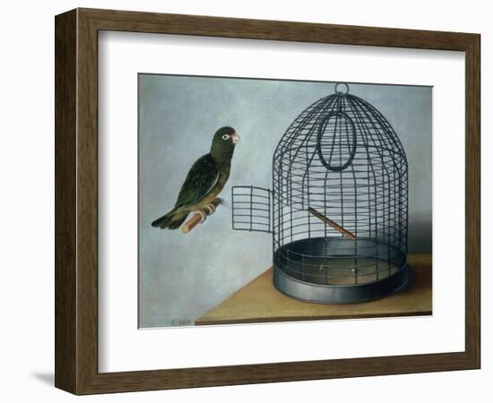 Parrot Outside His Cage-Cornelis Biltius-Framed Giclee Print
