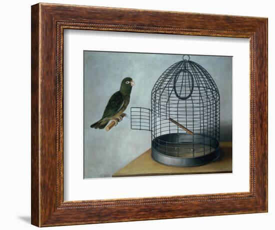 Parrot Outside His Cage-Cornelis Biltius-Framed Giclee Print