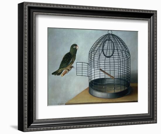 Parrot Outside His Cage-Cornelis Biltius-Framed Giclee Print