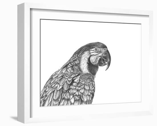 Parrot Portrait-Lucy Francis-Framed Giclee Print
