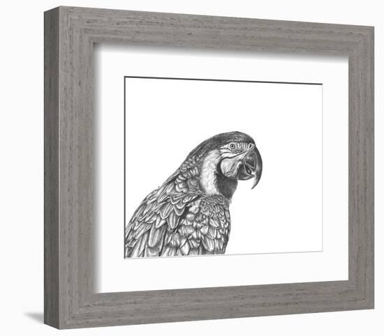 Parrot Portrait-Lucy Francis-Framed Art Print