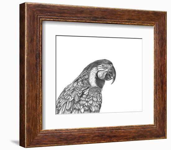 Parrot Portrait-Lucy Francis-Framed Art Print