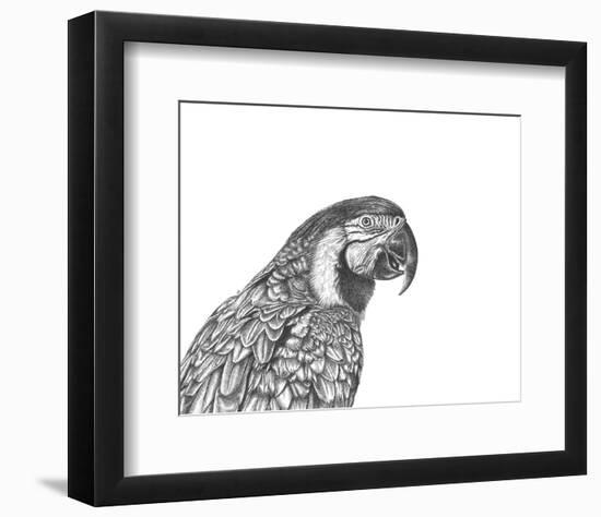 Parrot Portrait-Lucy Francis-Framed Art Print