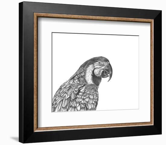 Parrot Portrait-Lucy Francis-Framed Art Print