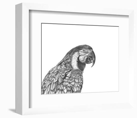 Parrot Portrait-Lucy Francis-Framed Art Print