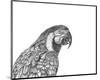 Parrot Portrait-Lucy Francis-Mounted Art Print