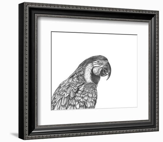 Parrot Portrait-Lucy Francis-Framed Art Print