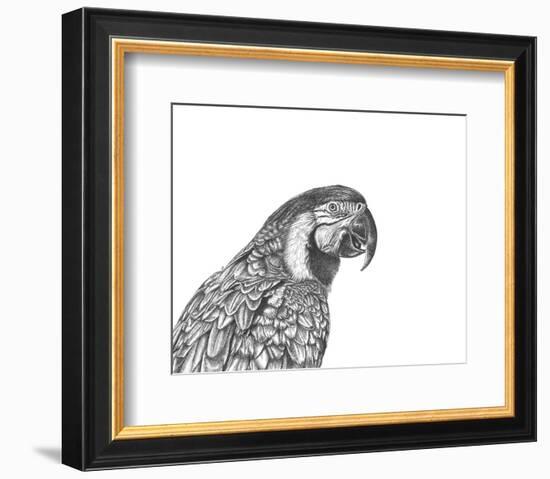 Parrot Portrait-Lucy Francis-Framed Art Print