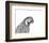 Parrot Portrait-Lucy Francis-Framed Art Print