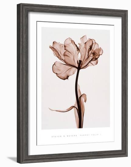 Parrot Tulip I-Steven N^ Meyers-Framed Art Print
