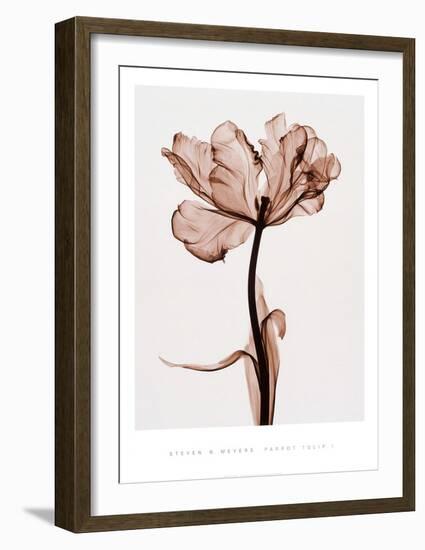 Parrot Tulip I-Steven N^ Meyers-Framed Art Print