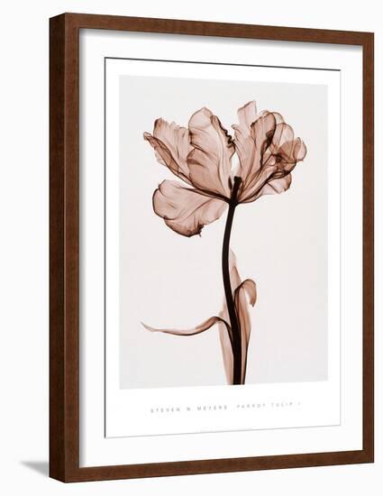 Parrot Tulip I-Steven N^ Meyers-Framed Art Print