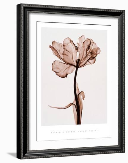 Parrot Tulip I-Steven N^ Meyers-Framed Art Print