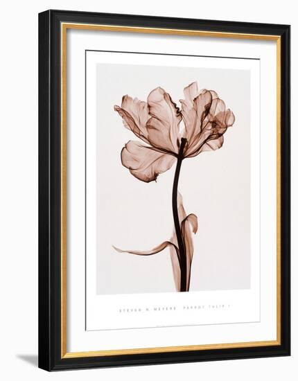 Parrot Tulip I-Steven N^ Meyers-Framed Art Print