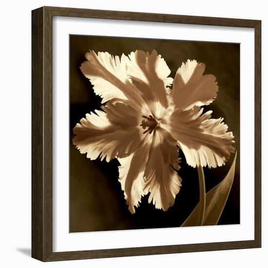 Parrot Tulip I-Caroline Kelly-Framed Photo